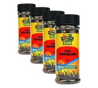 Tropical Sun Five Peppercorn Mix - Whole Peppercorn Blend with Black, White, Green, Pink & Allspice, Adds Aroma & Flavour to Cooking, 100g Jar (Pack of 4)