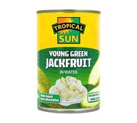 TROPICAL SUN Green Jackfruit In Water 400g