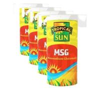Tropical Sun MSG - Monosodium Glutamate Seasoning, Flavour Enhancer for Savoury Dishes, Great for Stir-Fries, Soups and Marinades, 100g Drum (Pack of 4)