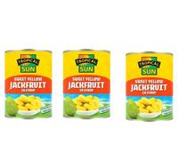 Tropical Sun Sweet Yellow Jackfruit in Syrup (Pack of 3)