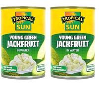 Tropical Sun Young Green Jackfruit in Water, 400g (Pack of 2)