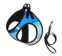 Tropical White Sand Beach and Ocean Print Soft Mesh Dog Harness and Leash Set Pet Puppy Cat Comfort Padded Vest No Pull Harnesses