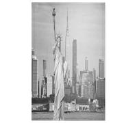 TropicalLife New York Statue Of Liberty Kitchen Towel Set of 2 Soft Hand Towel for Drying Dish Absorbant Tea Towel for Cooking Bathroom 18x28 Inch