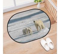 TropicalLife Polar Bear Cute Entrance Door Mat Rug for Living Room Kitchen Home Bath Bear Area Rugs Washable Indoor Outdoor Non-Slip Floor Doormat 40 x 60 cm