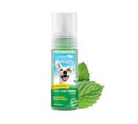 TropiClean Fresh Breath Dog Teeth Cleaning Foam - Dental Care Solution - Breath Freshener Oral Care - Foam for Bad, Smelly Dog Breath - Derived from Natural Ingredients, Mint, 4.5oz
