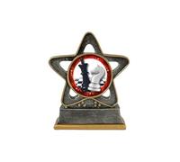 TroShow Chess Trophy Star 110mm Antique Silver and Gold Resin Award Rook Pawn Checkmate Bishop King Queen Free Engraving RST004AS-CL