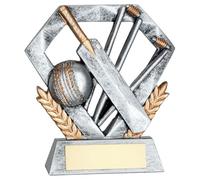 TroShow Diamond Cricket Trophy Award 102mm - 4 Inches Pewter and Gold Colour Ideal Player of the Match Man of the Match Player of the W ree Engraving JR6-RF700P06 - TD