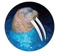 Tross - The Walrus EP [VINYL]