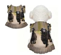 Trotting Flat Coated Retrievers Paw Print Pet Breathable T-Shirt Skirt XL | Chihuahua Yorkie Dachshund French Bulldog - Lightweight Tank Top Dog Shirt Soft Stretchy Vest