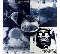 Trouble - Simple Mind Condition [VINYL]