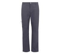Regatta Dalry Pants Grey 30 / Regular Men