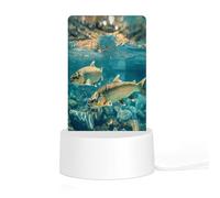 Trout Acrylic Night Light Personalised Nightlight Bedside Lamp for Friends Ladies