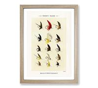 Trout Fishing Flies Version 2 by Mary Orvis Marbury Framed Print | A2 Oak Framed Wall Art | Ready to Hang | Modern Animal Picture | Living Room Bedroom Lounge Office