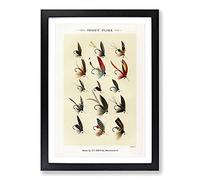 Trout Fishing Flies Version 3 by Mary Orvis Marbury Framed Print | A2 Black Framed Wall Art | Ready to Hang | Modern Animal Picture | Living Room Bedroom Lounge Office