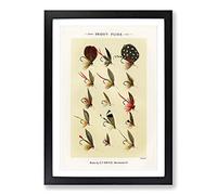 Trout Fishing Flies Version 5 by Mary Orvis Marbury Framed Print | A2 Black Framed Wall Art | Ready to Hang | Modern Animal Picture | Living Room Bedroom Lounge Office