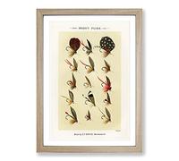 Trout Fishing Flies Version 5 by Mary Orvis Marbury Framed Print | A2 Oak Framed Wall Art | Ready to Hang | Modern Animal Picture | Living Room Bedroom Lounge Office