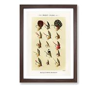 Trout Fishing Flies Version 5 by Mary Orvis Marbury Framed Print | A2 Walnut Framed Wall Art | Ready to Hang | Modern Animal Picture | Living Room Bedroom Lounge Office
