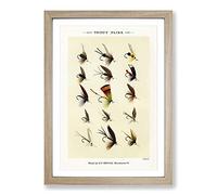 Trout Fishing Flies Version 6 by Mary Orvis Marbury Framed Print | A2 Oak Framed Wall Art | Ready to Hang | Modern Animal Picture | Living Room Bedroom Lounge Office