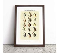 Trout Fishing Flies Version 8 by Mary Orvis Marbury Framed Wall Art Picture Print - Canvas Painting - Modern Home Décor Poster - Ready to Hang for Living Room Bedroom Kitchen - Walnut A3 (36 x 48 cm)