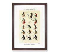 Trout Fishing Flies Version 9 by Mary Orvis Marbury Framed Print | A2 Walnut Framed Wall Art | Ready to Hang | Modern Animal Picture | Living Room Bedroom Lounge Office