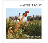 Trout, Walter - Common Ground