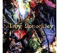 Troy Donockley - Unseen Stream