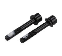 TRP Flat Mounting Bolts - Black / x 2 / 22mm