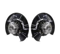 TRQ Suspension Knuckle Assembly Set Compatible with 2006 BMW 325xi 2007-2013 328i 2009-2013 328i xDrive 2007-2008 328xi 330i 330xi 335i 335i xDrive 2011-2013 335is 335xi