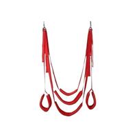 TRQOYTU The Love Swing Creates Sweet Moments, with Strong Nylon and Steel Buckles That Can Safely Support Up to 300 Kg. It Features an Ergonomic Plush Lining and Can Be Easily Installed with A