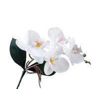 TRRYUIP Artificial Orchid 1 PC Artificial Moth Orchids Cloth With Leaves Simulation Phalaenopsis Realistic Plants Fake Butterfly Orchid(Color 02)