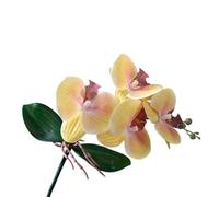 TRRYUIP Artificial Orchid 1 PC Artificial Moth Orchids Cloth With Leaves Simulation Phalaenopsis Realistic Plants Fake Butterfly Orchid(Color 05)