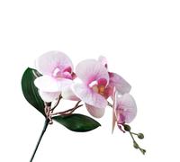 TRRYUIP Artificial Orchid 1 PC Artificial Moth Orchids Cloth With Leaves Simulation Phalaenopsis Realistic Plants Fake Butterfly Orchid(Color 08)