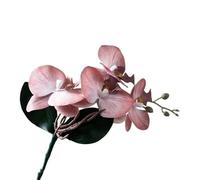 TRRYUIP Artificial Orchid 1 PC Artificial Moth Orchids Cloth With Leaves Simulation Phalaenopsis Realistic Plants Fake Butterfly Orchid(Color 04)