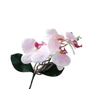 TRRYUIP Artificial Orchid 1 PC Artificial Moth Orchids Cloth With Leaves Simulation Phalaenopsis Realistic Plants Fake Butterfly Orchid(Color 01)