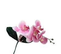 TRRYUIP Artificial Orchid 1 PC Artificial Moth Orchids Cloth With Leaves Simulation Phalaenopsis Realistic Plants Fake Butterfly Orchid(Color 03)