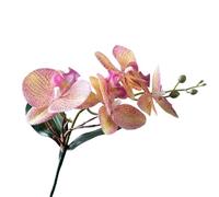 TRRYUIP Artificial Orchid 1 PC Artificial Moth Orchids Cloth With Leaves Simulation Phalaenopsis Realistic Plants Fake Butterfly Orchid(Color 07)