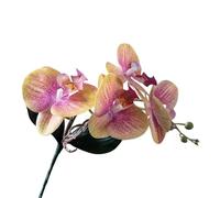 TRRYUIP Artificial Orchid 1 Pc Artificial Moth Orchids Realistic With Leaves Phalaenopsis Cloth Plants Fake Butterfly Orchid Bedroom(Color 06)