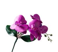 TRRYUIP Artificial Orchid Vivid Artificial Moth Orchids Cloth Realistic Simulation Phalaenopsis Plants With Leaves Fake Butterfly Orchid(Color 11)