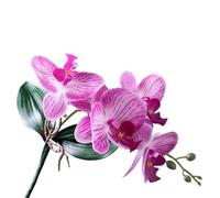 TRRYUIP Artificial Orchid Vivid Artificial Moth Orchids Cloth Realistic Simulation Phalaenopsis Plants With Leaves Fake Butterfly Orchid(Color 16)