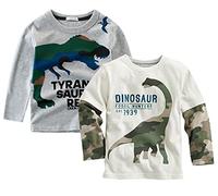 Trsenvrml Boys Dinosaur Shirt 2-Pack Long Sleeve T-Shirt 100% Cotton Pullover Toddler Tees Tops for Baby Casual Clothes (White Grey, 1-2T)