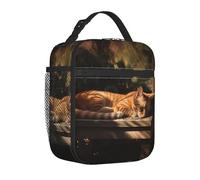 TRSGKSQP Lunch Bag for Women Men Adult Insulated Reusable Lunch Box Orange Cat Sleeping Leakproof Cooler Tote Bag Large Capacity Lunch Tote Bags Lunch Container for Work Travel Picnic