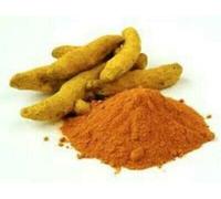 TRTO 60g Fresh Turmeric , Fresh Tumeric Curcuma ,Haldi Roots for Planting Garden Yard Patio and Useful for Gifts