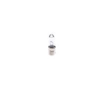 Bosch Truck/Lt 24V H21W BAY9S TBLB433E - 1987302533