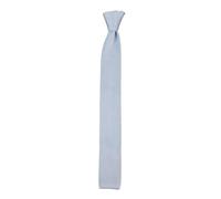 TruClothing Knitted Tie Woven in Light Blue TruClothing Light Blue One Size