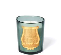 TRUDON Figuerie Candle 270g