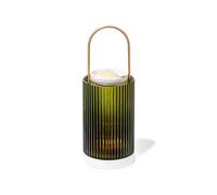 TRUDON La Promeneuse diffuser - Green One Size