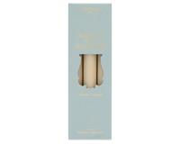 Trudon Madeleine Taper Candles - Set of 6 Stone One Size
