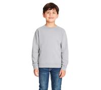 True Face Kids Sweatshirt Crew Neck Jumper Long Sleeve Cotton Pullover Plain Sweater Ribbed Cuff Boys School Uniform Top Grey 11/12 Years