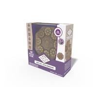 True Genius Puzzle - Aztec Calendar Brain Teaser