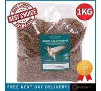 True Gifts 1Kg Dried Calciworms - Mealworms - Bird Feed Packed With Protein & Essential Oils Draws Robins, Siskins & Others